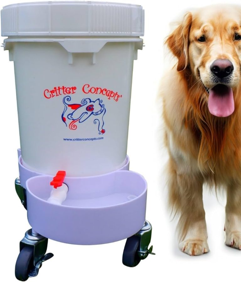 10 Best Dog Water Bowls of 2024: Top Choices for Your Furry Friend