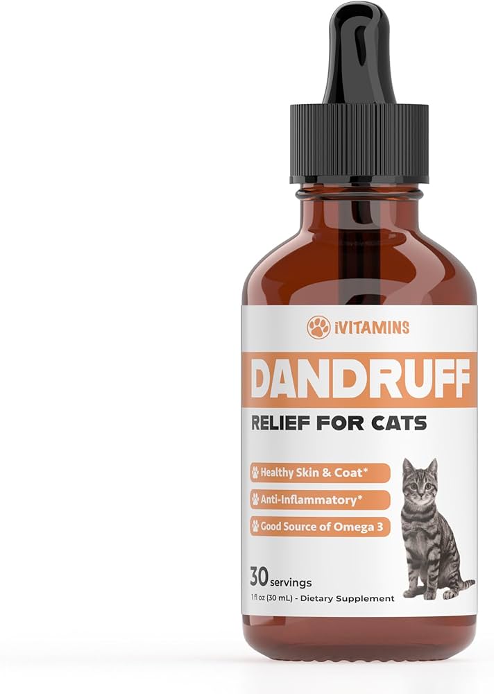 10 Best Cat Dandruff Solutions for a Healthier Coat in 2024 10 Best Cat Dandruff Solutions for a Healthier Coat in 2024
