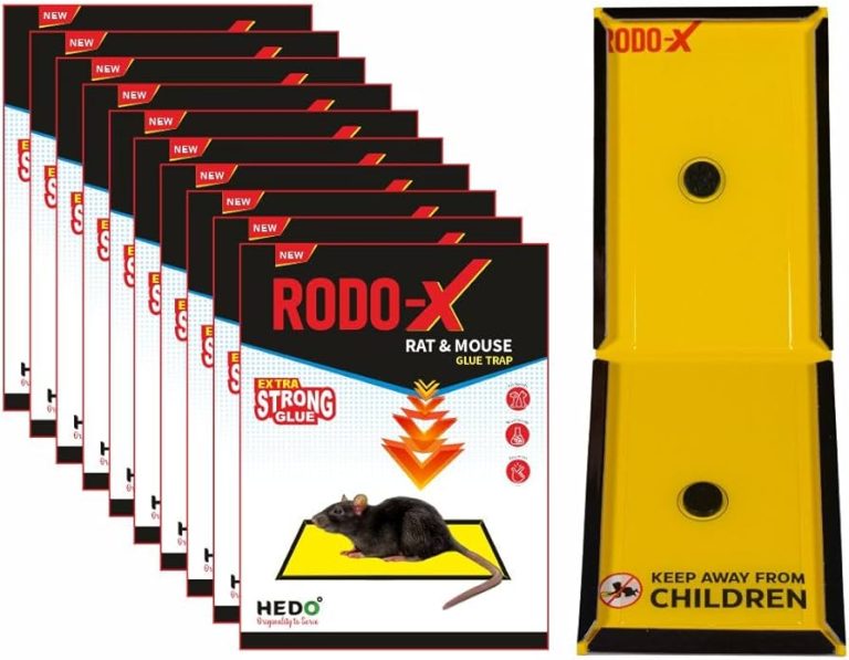 10 Best Traps and Poisons for Rat and Mouse Infestation in 2024 10 Best Traps and Poisons for Rat and Mouse Infestation in 2024