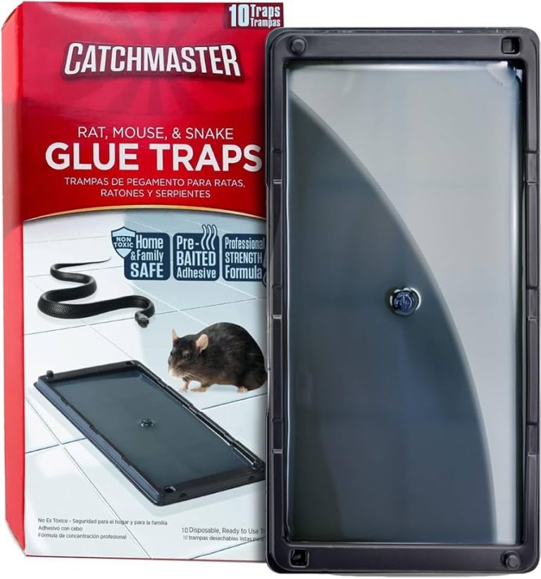10 Best Indoor Traps for Rat and Mouse Infestation in 2024
