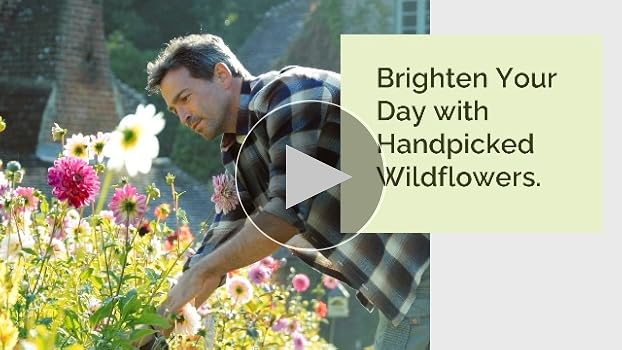 10 Best Cornflower Blue Products to Brighten Your 2024