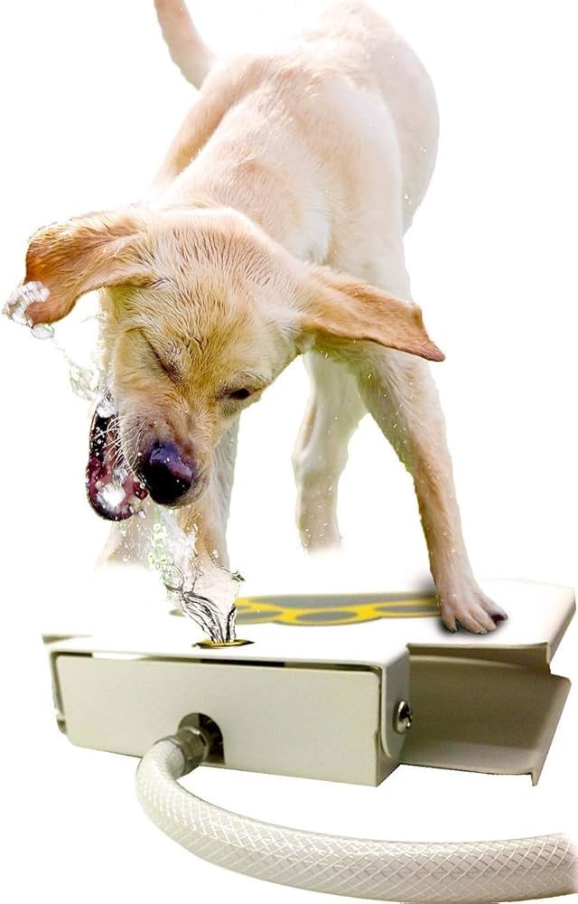 10 Best Dog Water Fountains for 2024: Keep Your Pup Hydrated & Cool 10 Best Dog Water Fountains for 2024: Keep Your Pup Hydrated & Cool