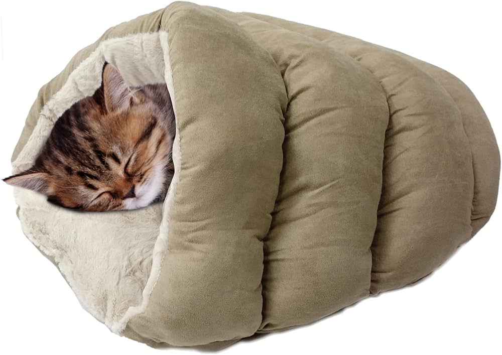 10 Best Cat Beds of 2024: Ultimate Comfort for Your Feline Friend 10 Best Cat Beds of 2024: Ultimate Comfort for Your Feline Friend