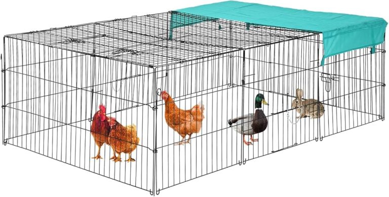 10 Best Chicken Coops for 2024: Top Picks for Every Backyard Farmer