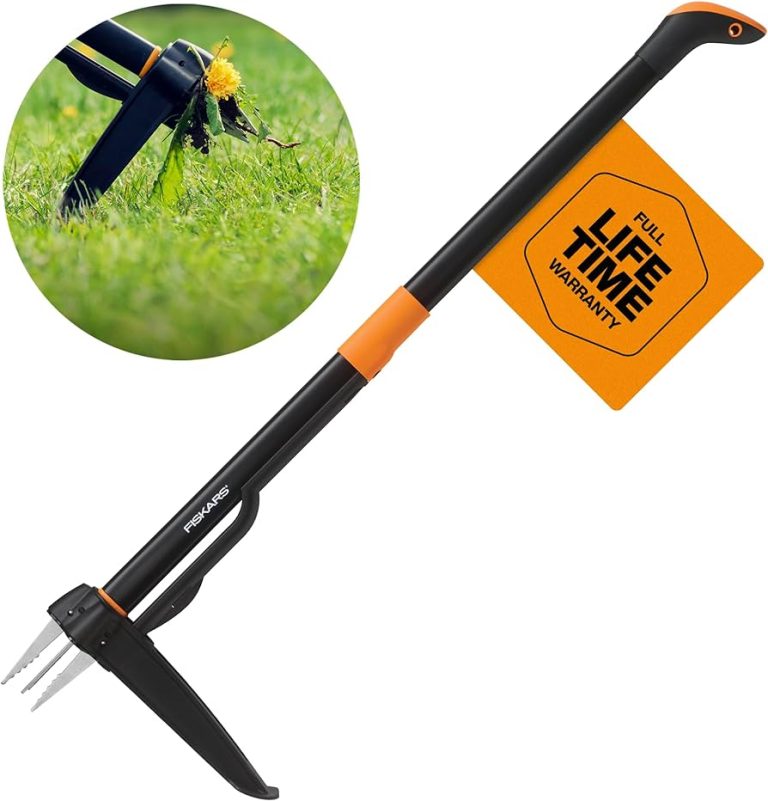 10 Best Weed Removal Tools of 2024 for Effortless Garden Care 10 Best Weed Removal Tools of 2024 for Effortless Garden Care