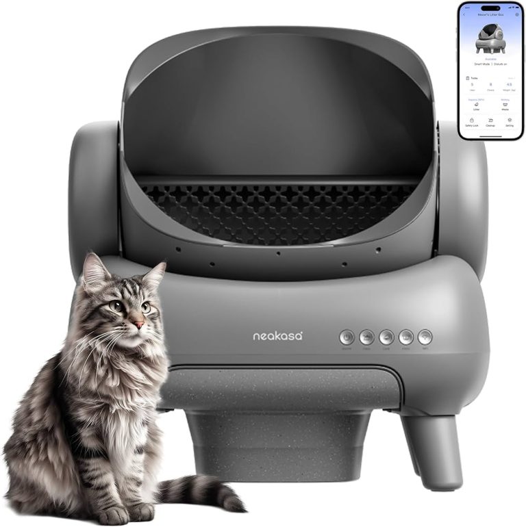 10 Best Auto Litter Boxes: Top Picks for Hassle-Free Cat Care in 2024 10 Best Auto Litter Boxes: Top Picks for Hassle-Free Cat Care in 2024