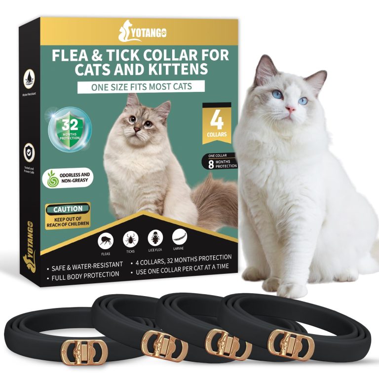 10 Best Flea Collars for Cats: Top Picks for 2024’s Best Protection