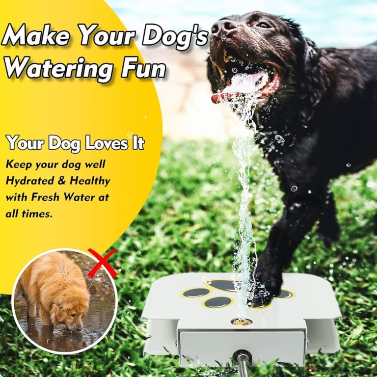 10 Best Dog Water Fountains of 2024: Keep Your Pup Hydrated! 10 Best Dog Water Fountains of 2024: Keep Your Pup Hydrated!