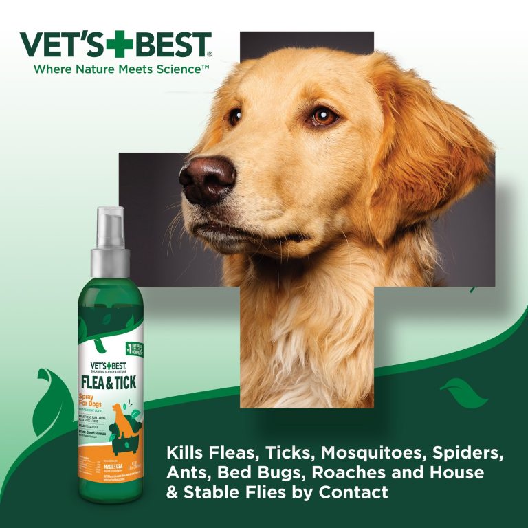 Best Vets’ Recommended Dog and Cat Flea and Tick Spray for 2024