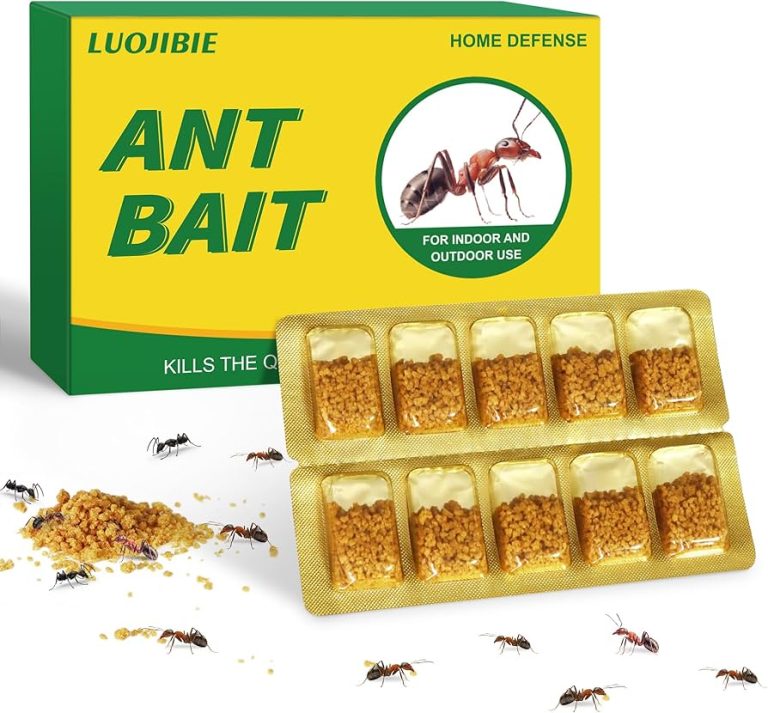 10 Best Indoor Ant Baits for Effective Pest Control in 2024
