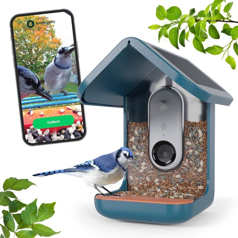 10 Best Bird Feeder Cameras for 2024: Capture Nature’s Beauty! 10 Best Bird Feeder Cameras for 2024: Capture Nature’s Beauty!