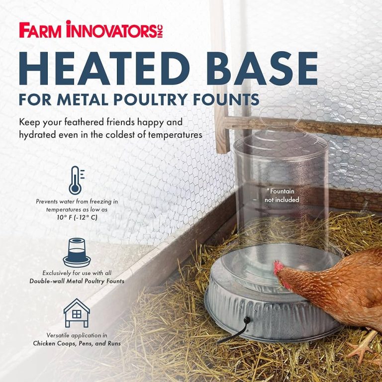 10 Best Chicken Pens of 2024: Top Picks for Your Feathered Friends