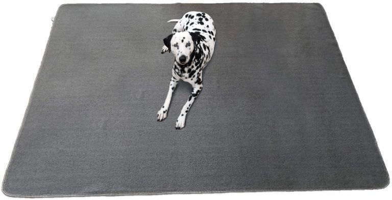 10 Best Dog Play Pens with Waterproof Mats for 2024: Top Products Reviewed