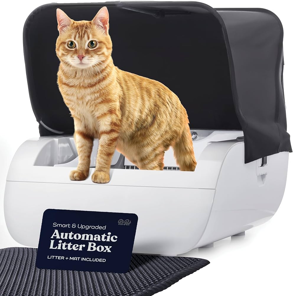 Best Self-Cleaning Cat Box: Top Picks for Hassle-Free Litter Care 2024