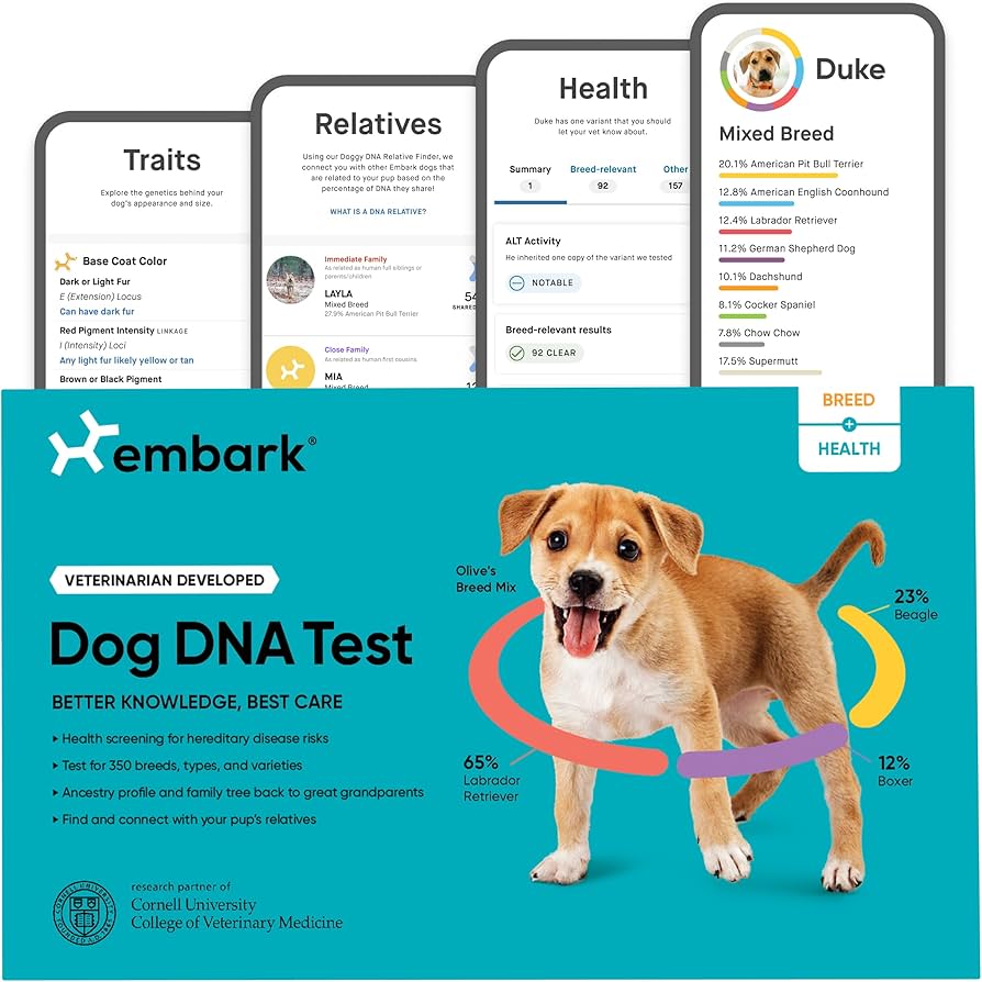 10 Best Canine DNA Tests of 2024: Uncover Your Dog’s Ancestry and Health 10 Best Canine DNA Tests of 2024: Uncover Your Dog’s Ancestry and Health