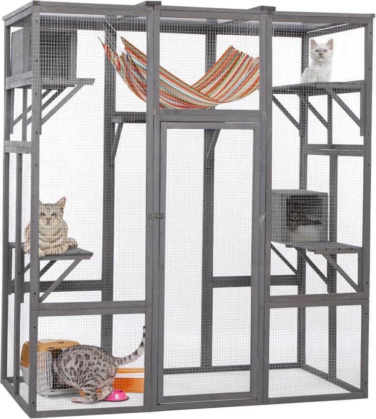 Best Catio: The Ultimate Outdoor Cat Enclosure Guide for 2024 Best Catio: The Ultimate Outdoor Cat Enclosure Guide for 2024
