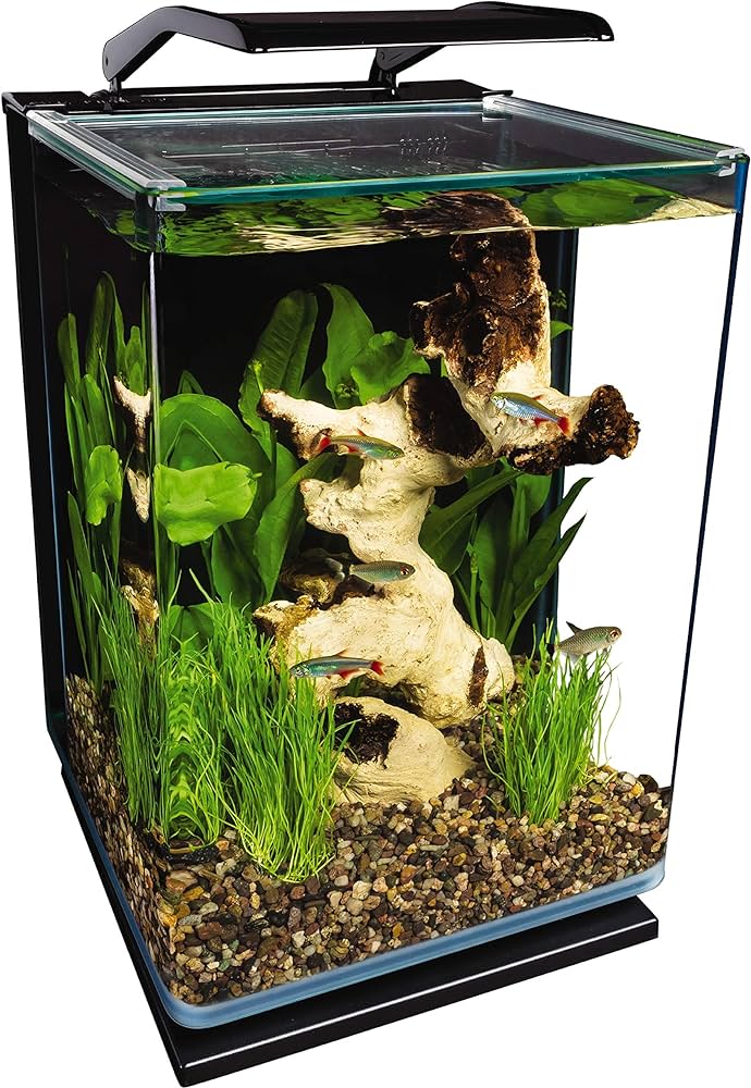 10 Best 5 Gallon Fish Tanks for 2024: Top Picks for Aquatic Enthusiasts 10 Best 5 Gallon Fish Tanks for 2024: Top Picks for Aquatic Enthusiasts