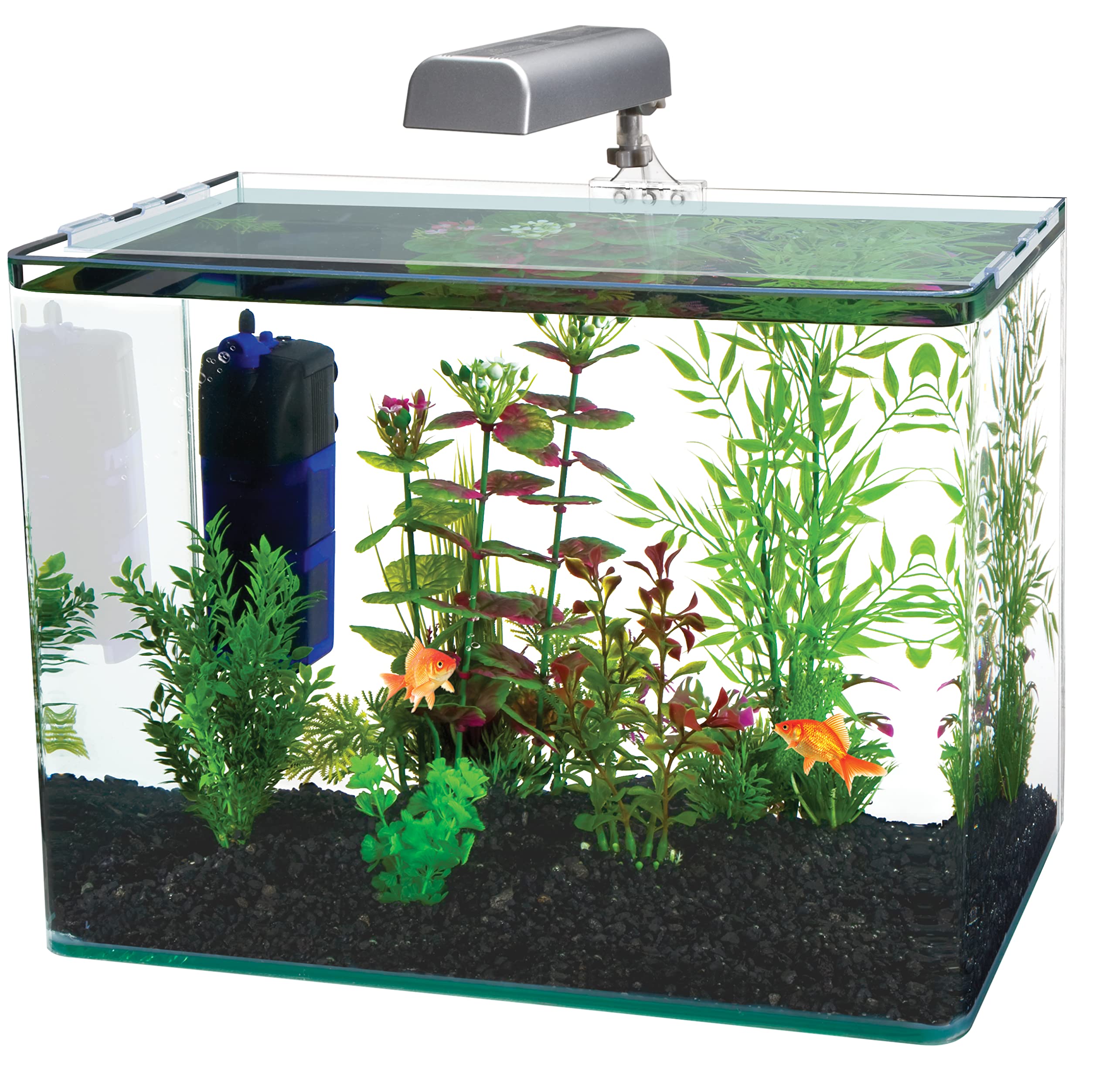 Best 10 Gallon Fish Tank: Top Picks for 2024 Aquarium Enthusiasts