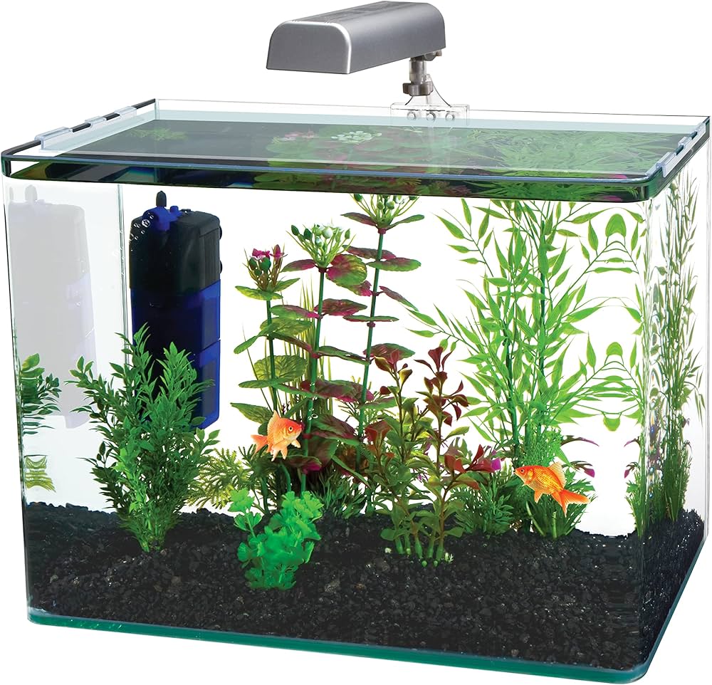 10 Best 30 Gallon Tanks for 2024: Top Picks for Aquatic Enthusiasts 10 Best 30 Gallon Tanks for 2024: Top Picks for Aquatic Enthusiasts