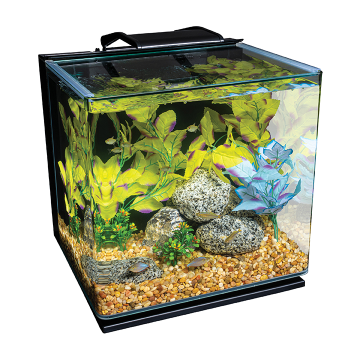 10 Best 2 Gallon Aquarium Kits with All Accessories for 2024