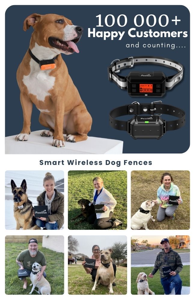 10 Best Dog Wash Stations of 2024: Perfect Solutions for Your Pup 10 Best Dog Wash Stations of 2024: Perfect Solutions for Your Pup