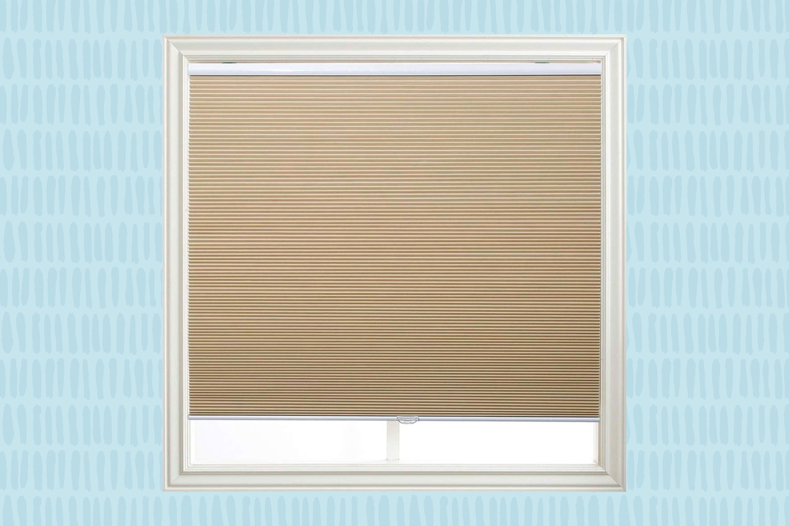 10 Best Cellular Blinds for 2024: Top Picks for Style and Functionality 10 Best Cellular Blinds for 2024: Top Picks for Style and Functionality