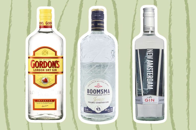 10 Best Affordable Gins to Try in 2024: Top Picks for Every Budget