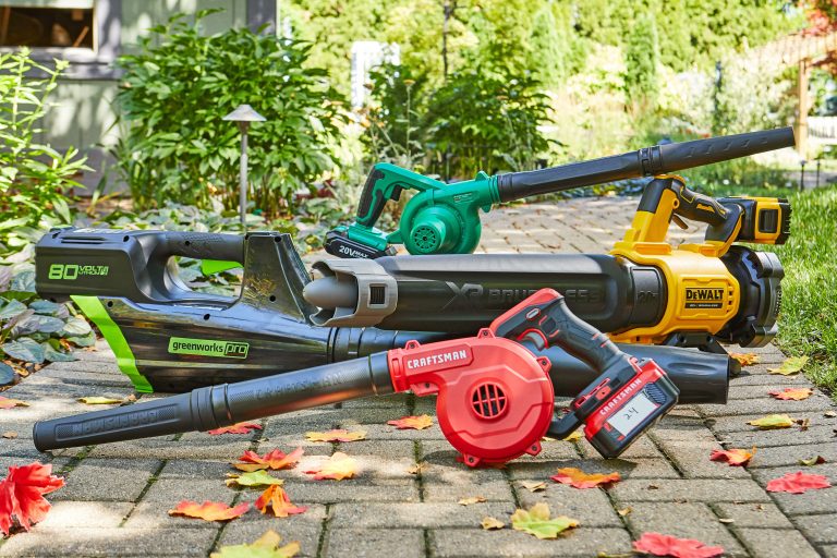 10 Best Corded Leaf Blowers for 2024: Top Picks for Efficient Yard Care