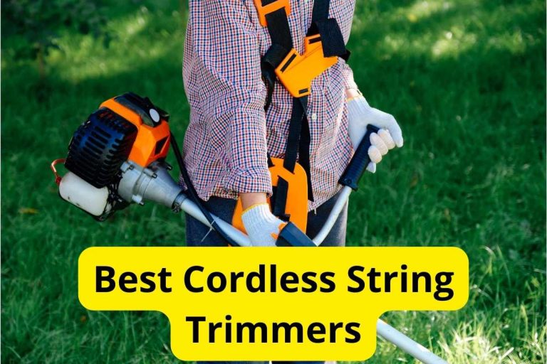 10 Best Cordless Grass Trimmers for 2024: Top Picks for Your Lawn Care