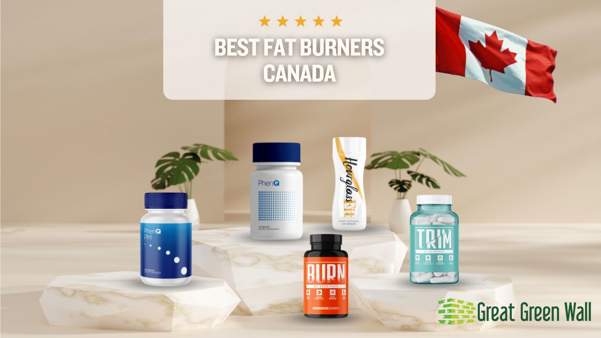 10 Best PhenQ Products for Effective Weight Loss in 2024