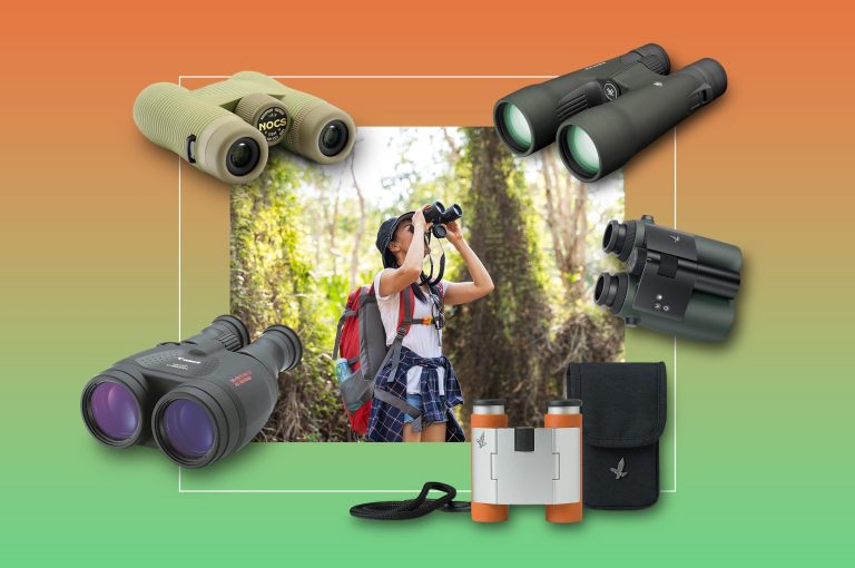 10 Best Bird Watching Cameras for 2024: Top Picks for Enthusiasts