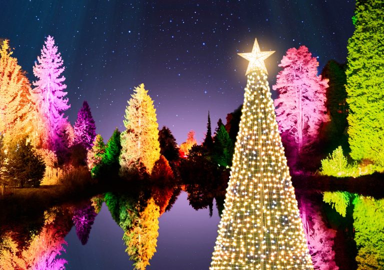 10 Best Outdoor Xmas Lights for 2024: Illuminate Your Holiday Season