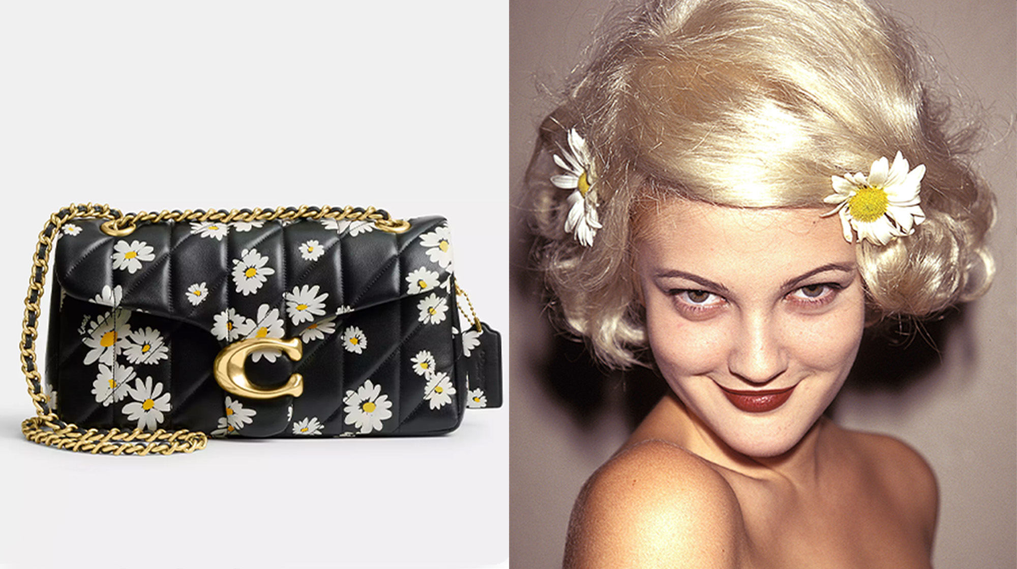 Best Coach Tabby Handbags: Top Picks & Trends for 2024