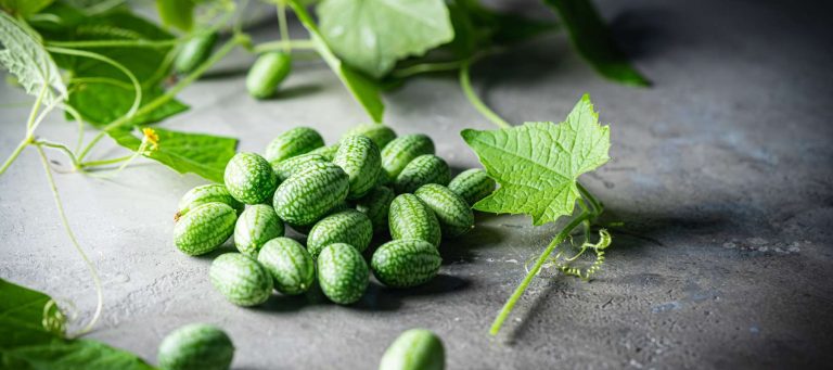 10 Best Cucamelon Products to Buy in 2024: Top Picks for Your Garden 10 Best Cucamelon Products to Buy in 2024: Top Picks for Your Garden