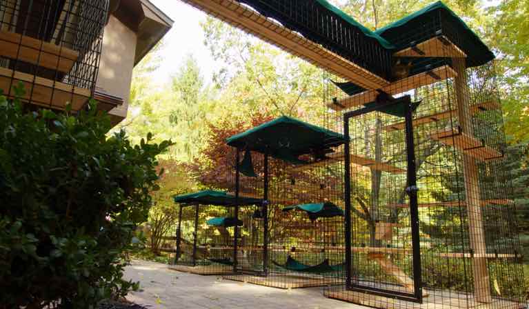 Best Outdoor Cat House: Top Choices for 2024 Your Feline Friend Will Love! Best Outdoor Cat House: Top Choices for 2024 Your Feline Friend Will Love!