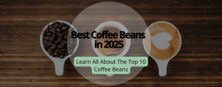 10 Best Coffee Tumblers of 2024: Top Picks for Every Coffee Lover