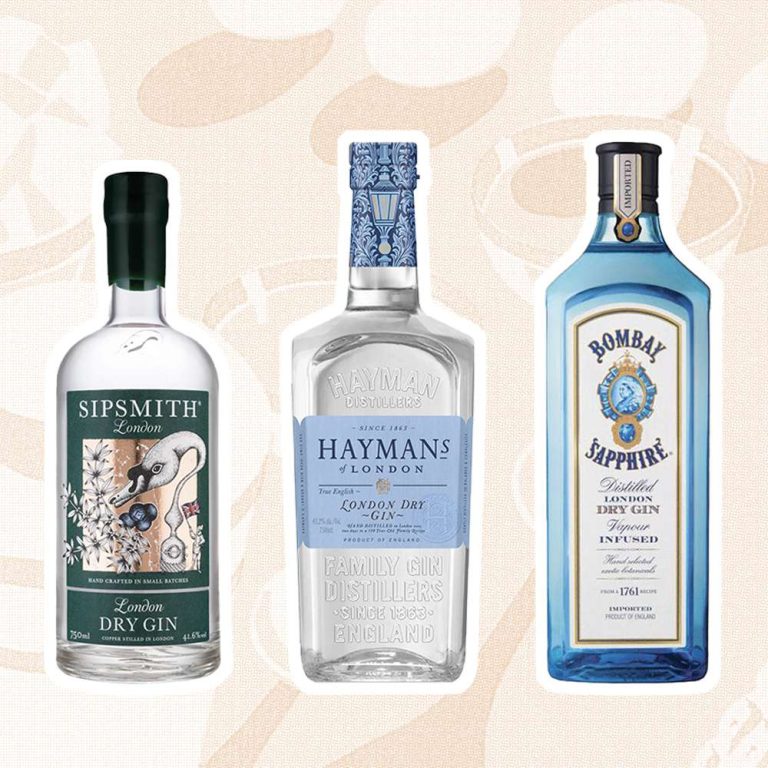 10 Best Gins to Try in 2024: Uncover the Finest Flavors