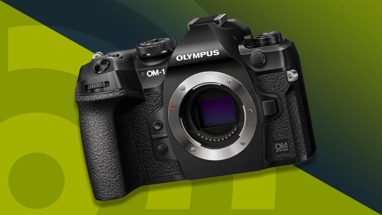 10 Best Wild Cameras for 2024: Top Picks for Your Wildlife Adventures