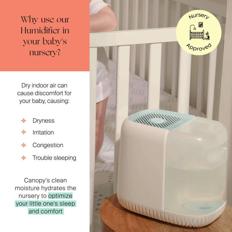 10 Best Baby Humidifiers of 2024: Top Picks for Your Little One’s Comfort