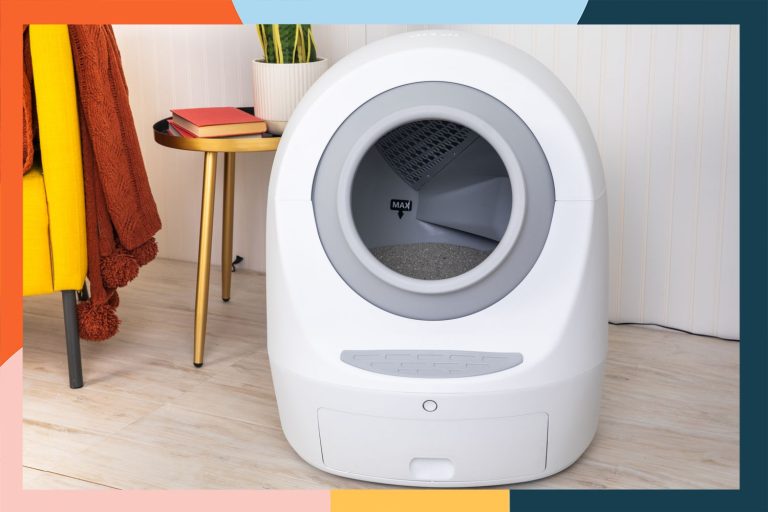 10 Best Crystal Cat Litter Options of 2024 for Your Feline Friend