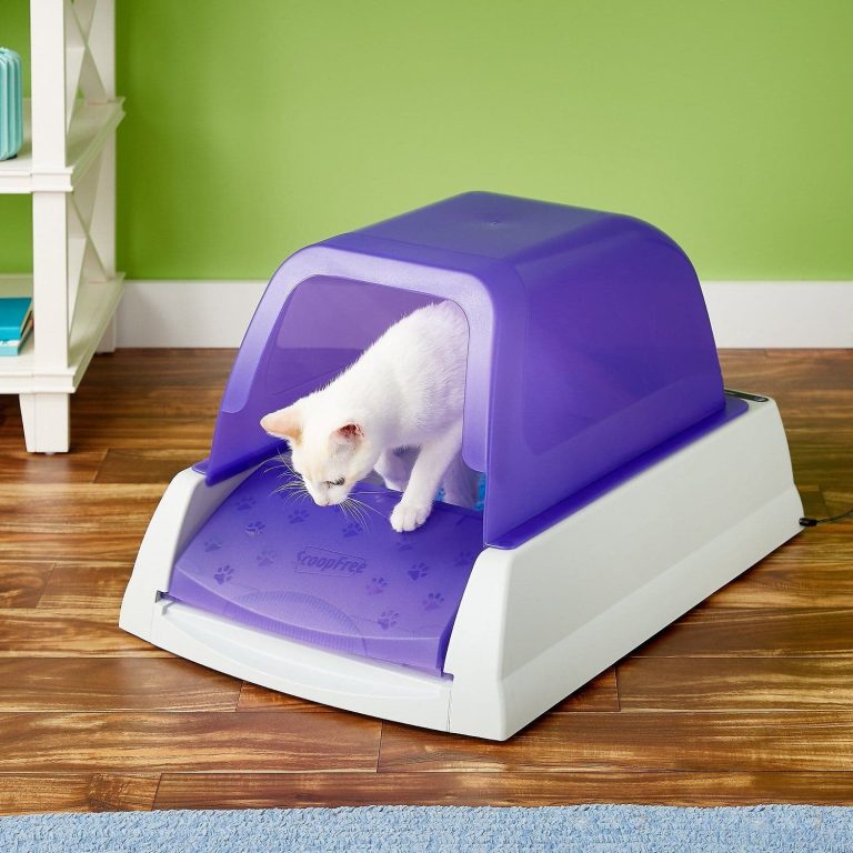 Best Cat Litter Box: Top Picks for Clean and Happy Cats in 2024 Best Cat Litter Box: Top Picks for Clean and Happy Cats in 2024