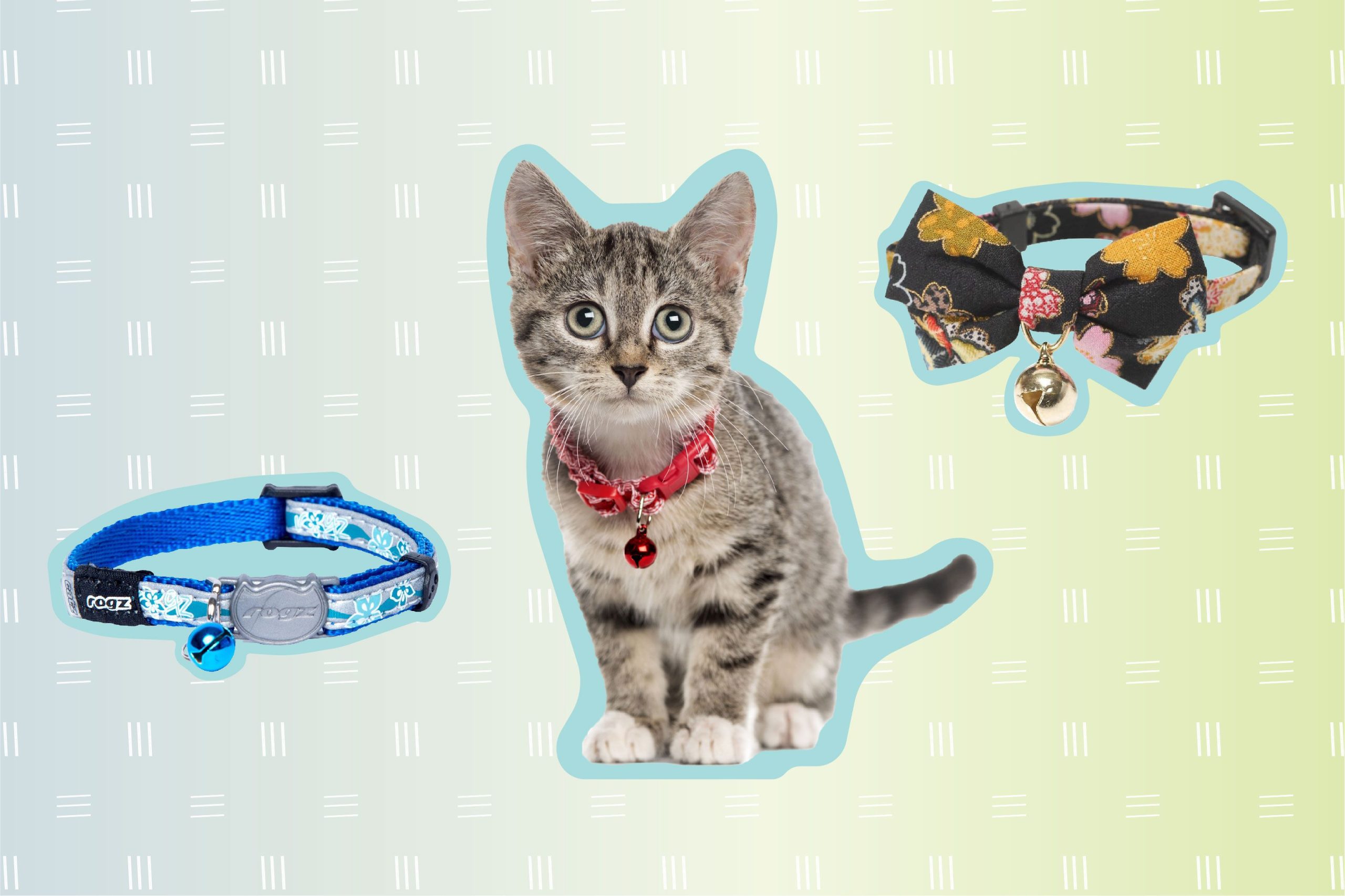 Best Cat Collar: Top Picks for 2024 That Combine Style and Safety Best Cat Collar: Top Picks for 2024 That Combine Style and Safety