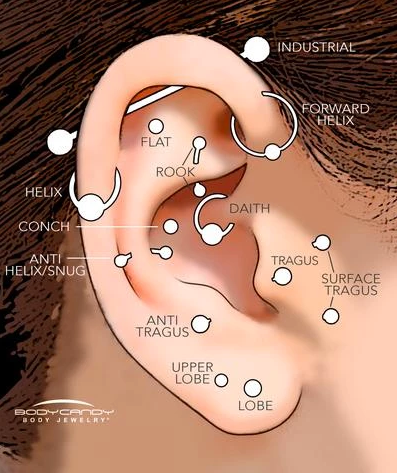 10 Best Conch Piercing Jewelry Options for 2024: Style and Comfort 10 Best Conch Piercing Jewelry Options for 2024: Style and Comfort