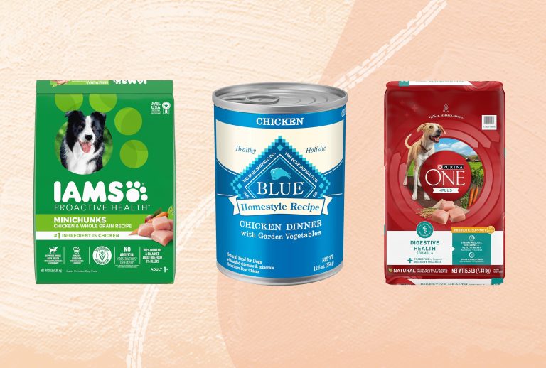 10 Best Inexpensive Dog Food Options for 2024: Affordable Nutrition for Your Pup