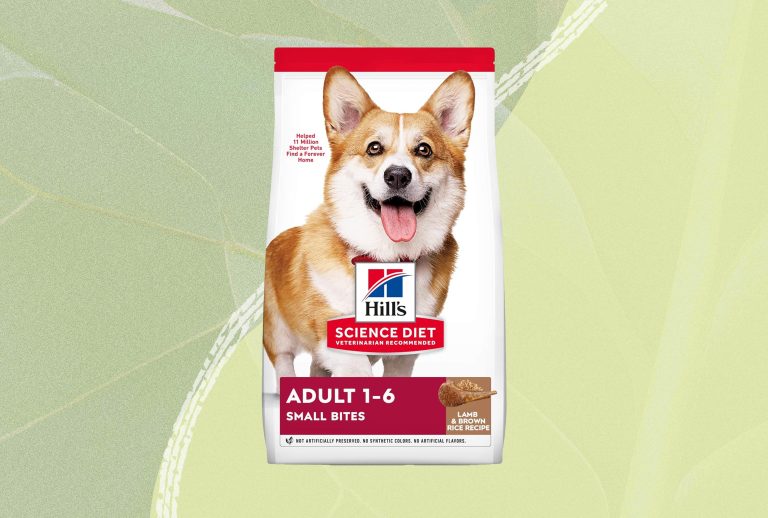10 Best Small Breed Dog Foods for 2024: Top Picks for Your Pup’s Health 10 Best Small Breed Dog Foods for 2024: Top Picks for Your Pup’s Health