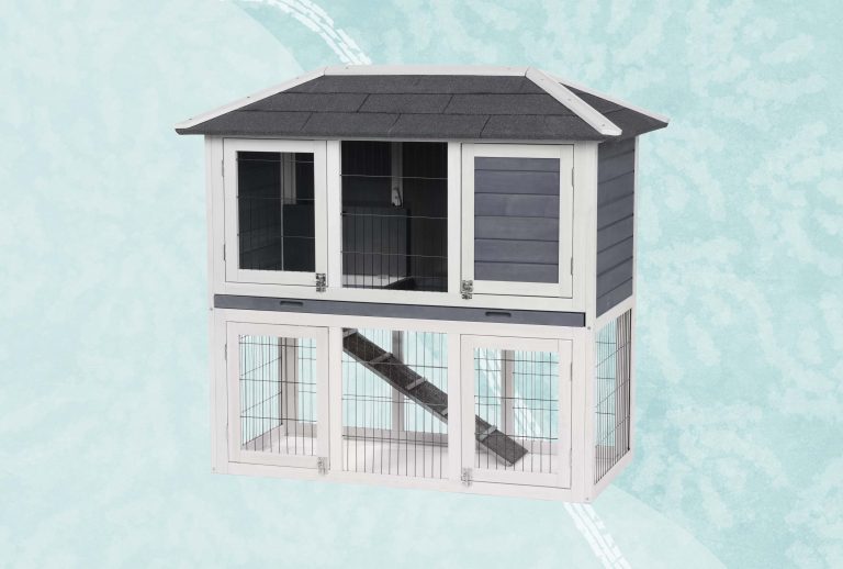 10 Best Rabbit Cages for 2024: Top Picks for Your Furry Friends 10 Best Rabbit Cages for 2024: Top Picks for Your Furry Friends