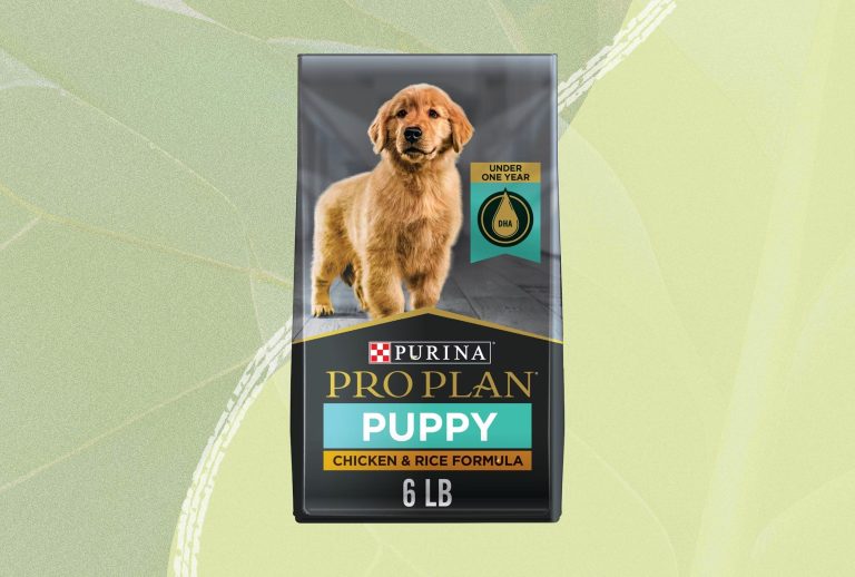 10 Best Dog Food Toppers for 2024: Top Picks for Happy Pups!