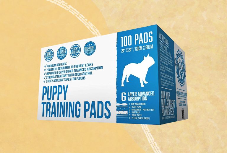10 Best Puppy Pads for 2024: Top Picks for Easy Cleanup and Training 10 Best Puppy Pads for 2024: Top Picks for Easy Cleanup and Training