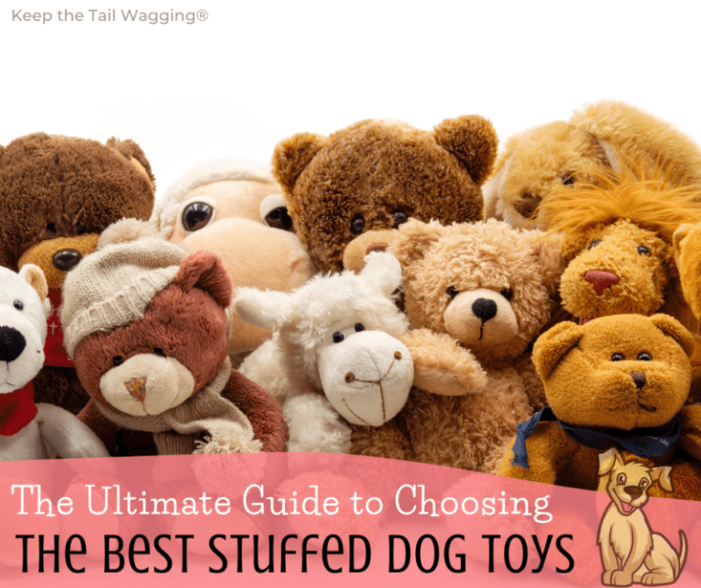 Best Teddy Bear: The Ultimate Best Product Guide for 2024