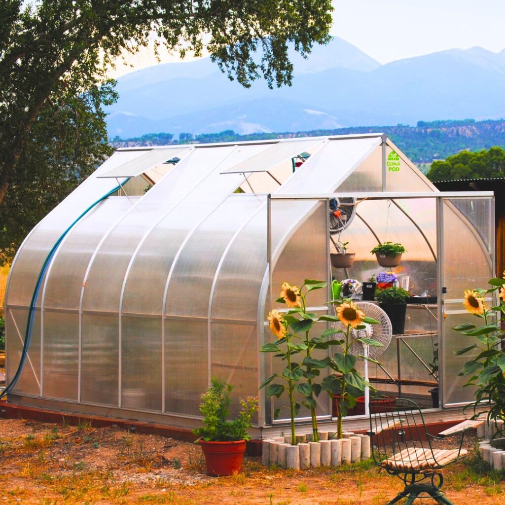 Best Greenhouse Kit: Top Choices for 2024 Gardening Success